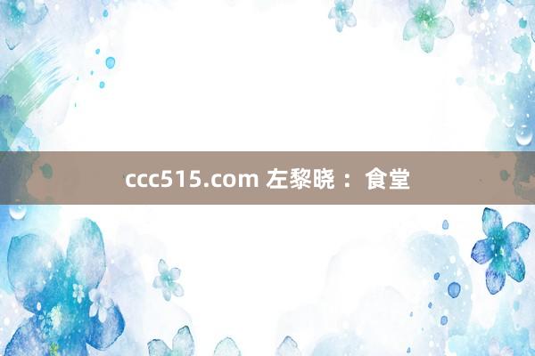 ccc515.com 左黎晓 ：食堂