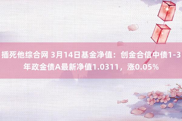 插死他综合网 3月14日基金净值：创金合信中债1-3年政金债A最新净值1.0311，涨0.05%